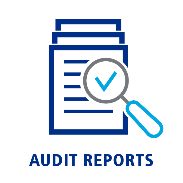 Аудит инструменты. Аудит иконка. Аудитор иконка. Audit пиктограмма. Audit Report.